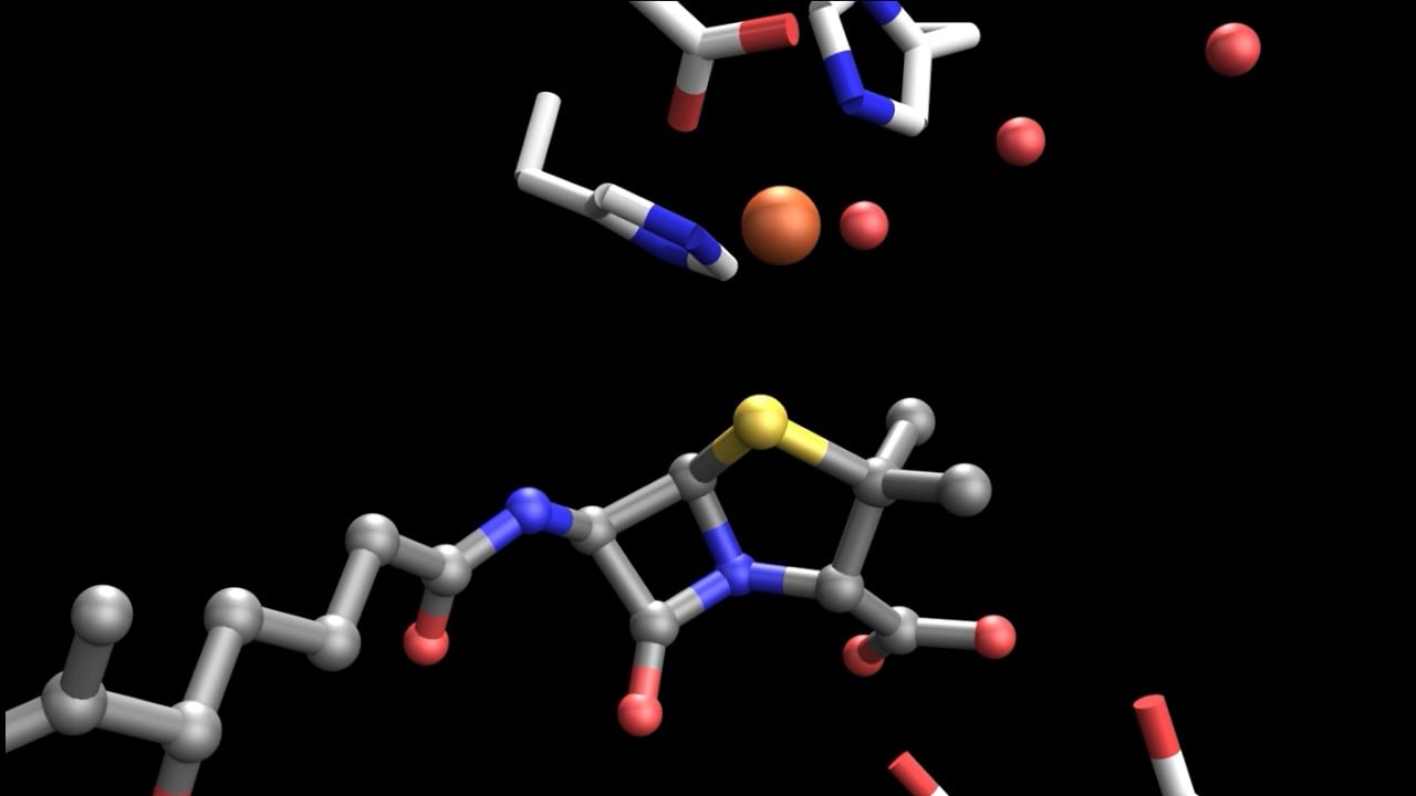 Oxford video still introducing the molecular movie of penicillin formation