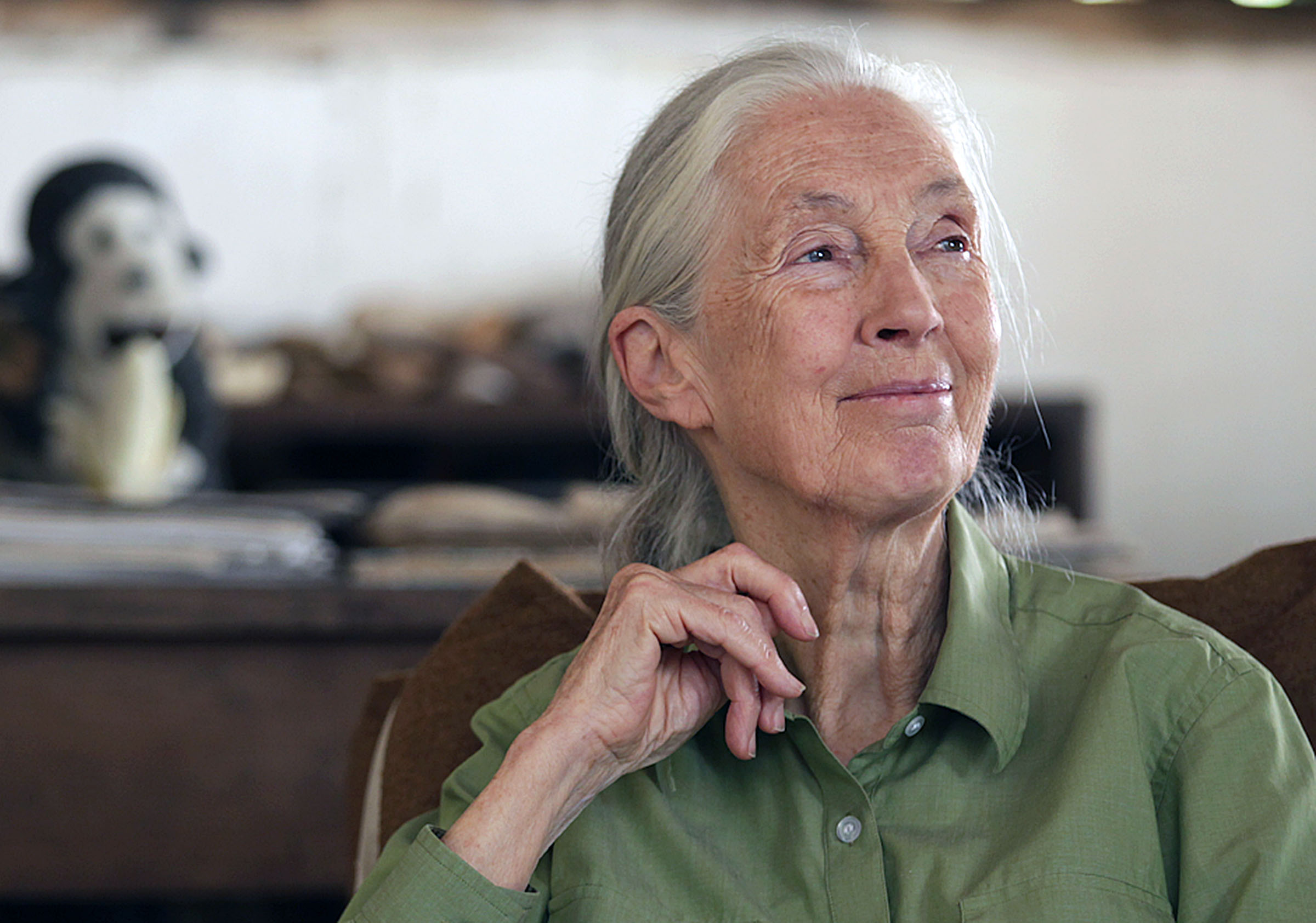 Portrait of Jane Goodall